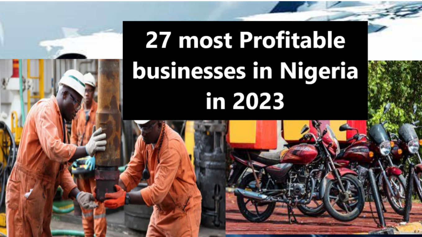 profitable business in Nigeria: 27 most Profitable businesses in Nigeria in 2023