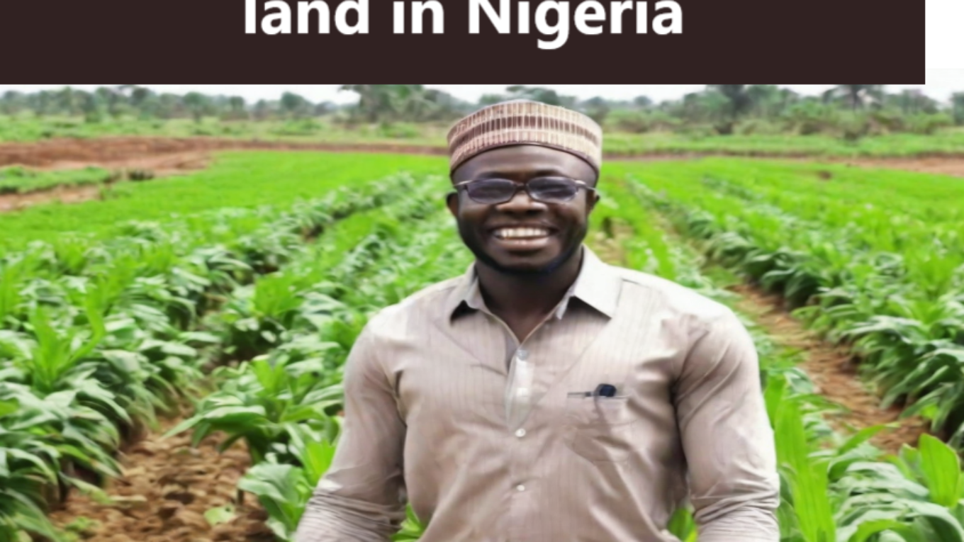 how to share a hectare of land in Nigeria