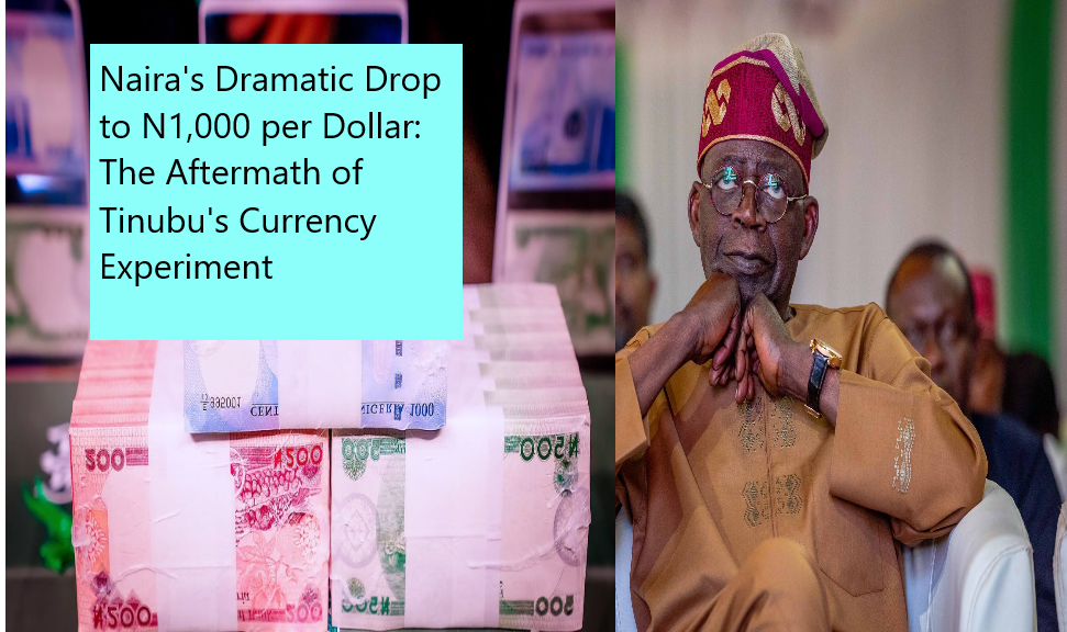 Naira's Dramatic Drop to N1,000 per Dollar: The Aftermath of Tinubu's Currency Experiment